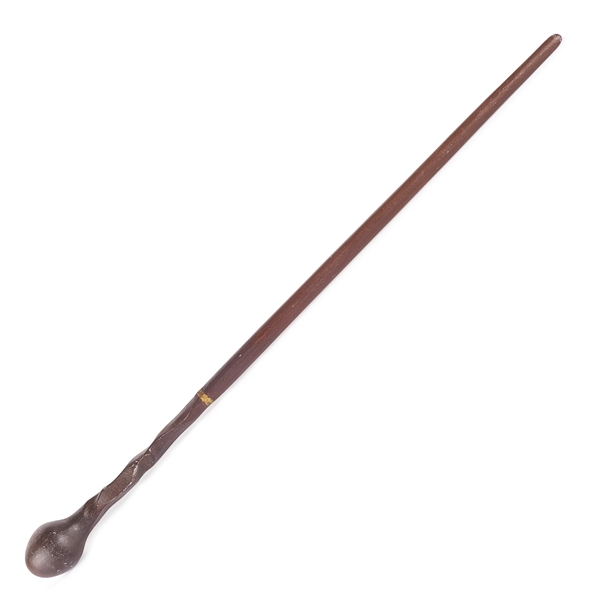 David Thewlis Wand HP Order of the Phoenix