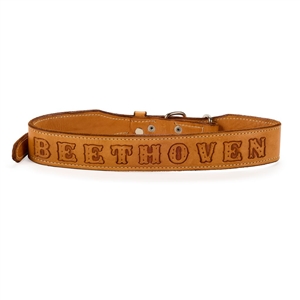 Beethoven's 2nd Hero Dog Collar Prop