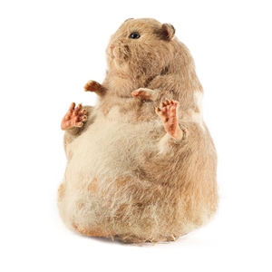 The Nutty Professor Hamster Puppet Skin