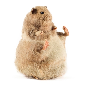 The Nutty Professor Hamster Puppet Skin