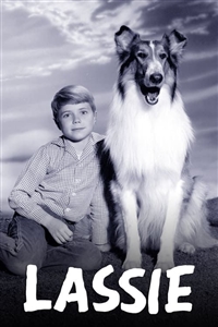 John Provost Chairbacks and Dog Treat from Lassie