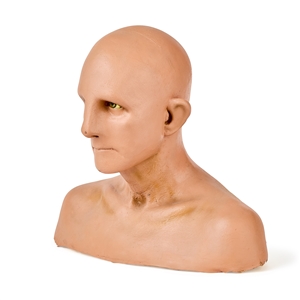 René Auberjonois Odo Bust from Star Trek DS9