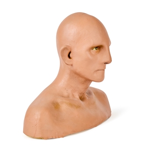 René Auberjonois Odo Bust from Star Trek DS9