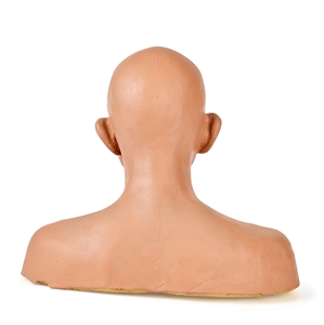 René Auberjonois Odo Bust from Star Trek DS9
