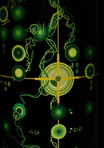 Star Trek Borg LCAR Panel