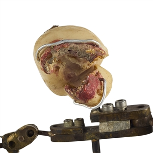 River Monster Stop Motion Armature on Display