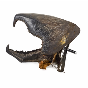 Life-Size Animatronic Worm Head from Tremors