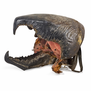 Life-Size Animatronic Worm Head from Tremors