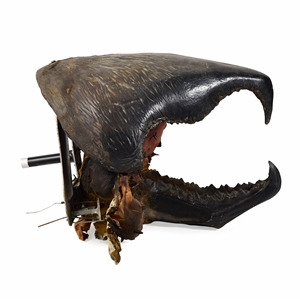 Life-Size Animatronic Worm Head from Tremors