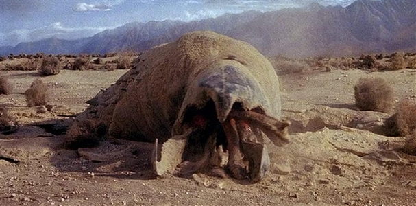 Life-Size Animatronic Worm Head from Tremors