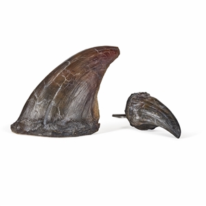 T-Rex 2 Large Talons from Jurassic Park