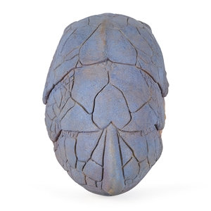 Alien Drac Creature Head Prop from Enemy Mine