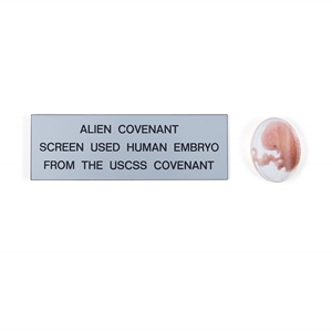 Human Embryo Disc from Alien Covenant