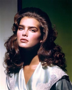 Brooke Shields Collection of 15+ TV Autographs