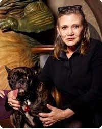 Carrie Fisher Personal 9+ Star Wars Toys